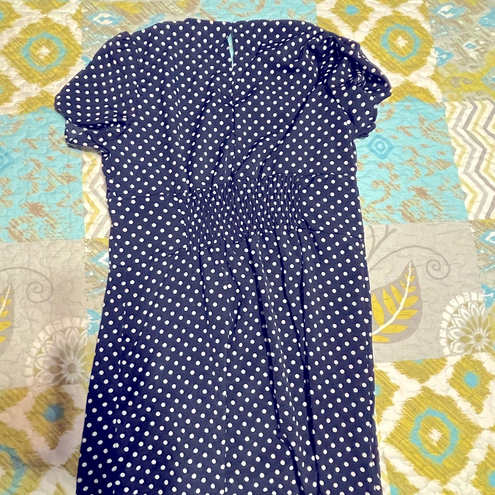 Button down navy and white dress